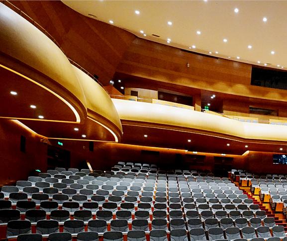 DESFINE(迪斯)廠商:深圳市迪斯聲學(xué)有限公司